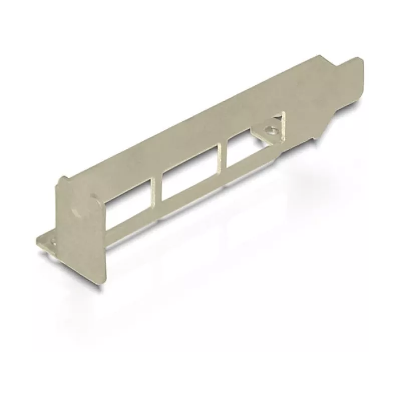 Sąsajos kortelė DeLOCK 89281 USB 3.2 Gen 1