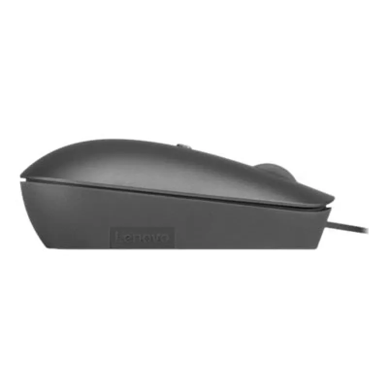 Lenovo 540 pelė Office Ambidextrous USB Type-C Optinė