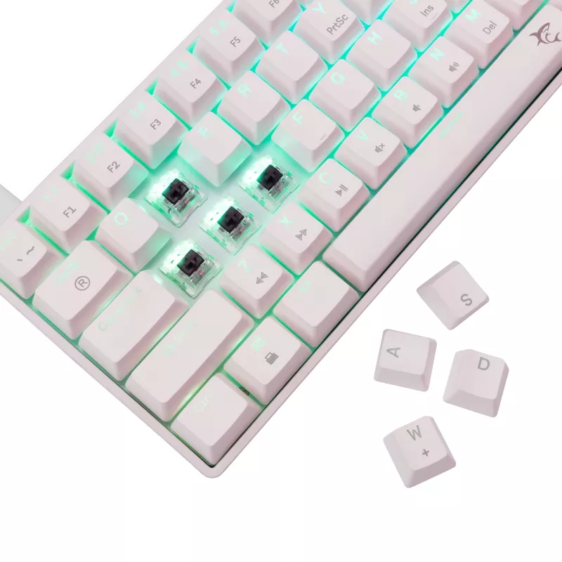 Mechaninė klaviatūra White Shark Shinobi-2 Brown Switch US išdėstymas — kompaktiškas dizainas, Brown jungikliai