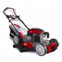 DEDRA DED8725Q-56L vejapjovė