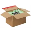 tidyPac Schaumstoffflocken flo-pac Green 0,540 kg (SALF01.01.04)