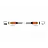 HDMI laidas DeLOCK 85729 2 m HDMI Type A Standard juodas auksinis