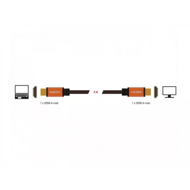 HDMI laidas DeLOCK 85729 2 m HDMI Type A Standard juodas auksinis