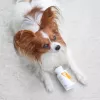 VET EXPERT Immune System – imuninės sistemos palaikymo preparatas šunims ir katėms – 30 kaps.