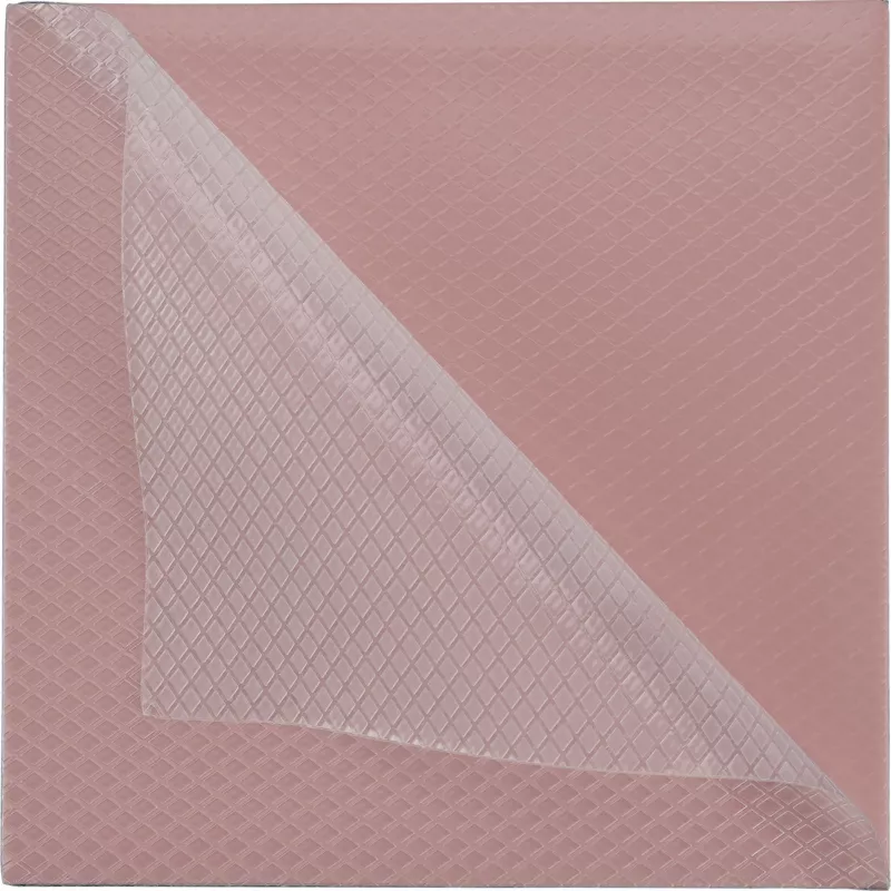 Thermal Grizzly Minus Pad 8 - 100 x 100 x 1.0 mm, 2 vnt.