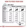 Sausas šunų maistas Royal Canin Anallergenic Small 1,5 kg — hipoalerginė suaugusių šunų formulė mažoms veislėms