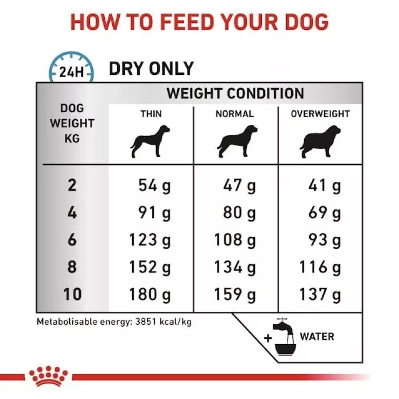 Sausas šunų maistas Royal Canin Anallergenic Small 1,5 kg — hipoalerginė suaugusių šunų formulė mažoms veislėms