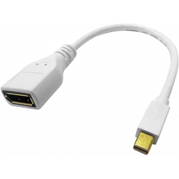 ROLINE - DisplayPort adapteris - Mini DisplayPort (V) į DisplayPort (M) - juodas (12.03.3163)
