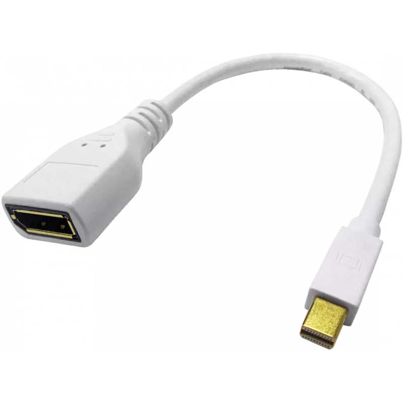 ROLINE - DisplayPort adapteris - Mini DisplayPort (V) į DisplayPort (M) - juodas (12.03.3163)