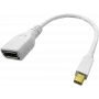 ROLINE - DisplayPort adapteris - Mini DisplayPort (V) į DisplayPort (M) - juodas (12.03.3163)