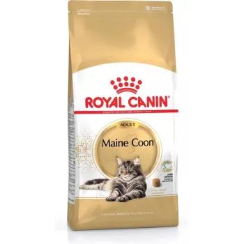 Royal Canin FBN Maine Coon Adult sausas kačių ėdalas, 4 kg