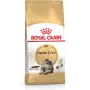 Royal Canin FBN Maine Coon Adult sausas kačių ėdalas, 4 kg