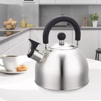 Maestro MR-1300 virdulys 2 l sidabrinis