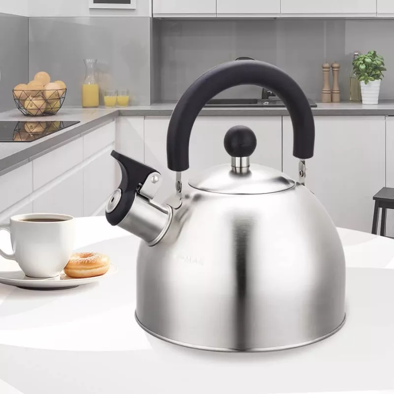 Maestro MR-1300 virdulys 2 l sidabrinis
