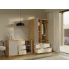 MALWA SS-90 wardrobe artisan ąžuolas/kašmyro