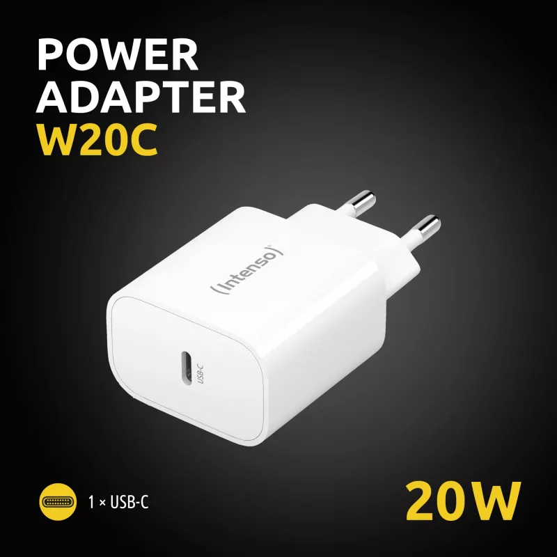 Kroviklis vidaus Intenso POWER ADAPTER USB-C/7802012