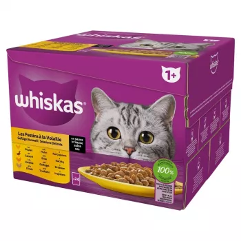 Šlapias kačių maistas Whiskas Poultry Feast 24×85 g — suaugusioms katėms, paukštiena (kalakutiena), 24 pakeliai