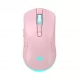 Pelė Baracuda BGM-124 Turtle Pink TURTLE-P