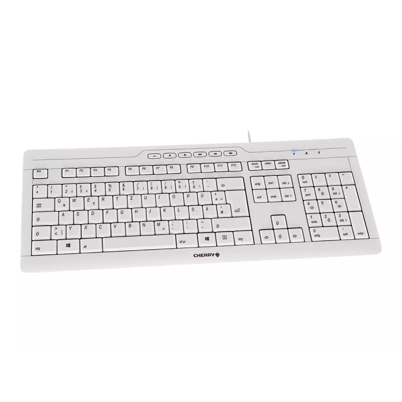 CHERRY STREAM 3.0 klaviatūra Office USB Šveicariška pilka