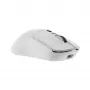 Pelė White Shark GM-9010 MAXIMUS balta USB