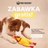 Paka Zwierzaka vištos formos šunų žaislas