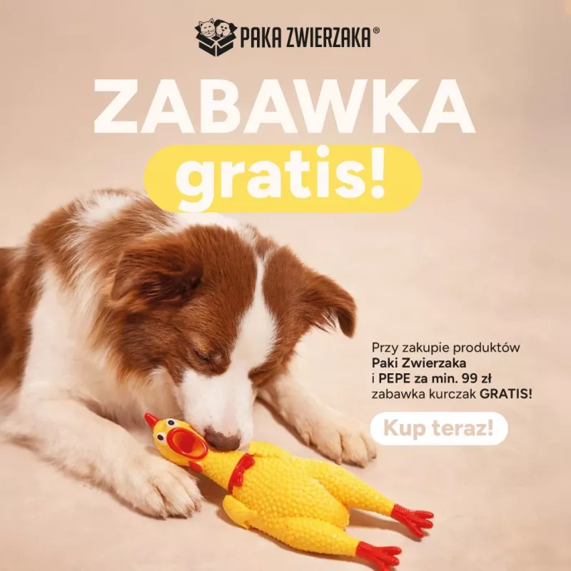 Paka Zwierzaka vištos formos šunų žaislas