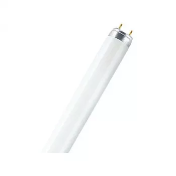 Osram O0325613 atminties modulis