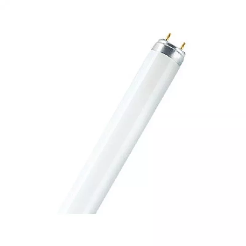 Osram O0325613 atminties modulis