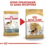 Sausas šunų maistas Royal Canin German Shepherd Adult, 11 kg — didelėms veislėms, paukštiena, 24% baltymų, 19% riebalų