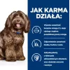 HILL'S PD B/D Brain ageing Care Vištiena - sausas šunų maistas - 12kg