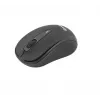 Belaidė pelė Tellur Basic Mini Juoda sąsaja