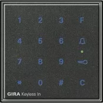 Gira 260567 tinklo įrenginys