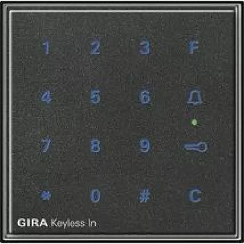 Gira 260567 tinklo įrenginys