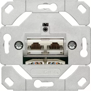 Kištukinis lizdas Gira 245200 — 2×RJ-45 Cat6a, metalinė apdaila