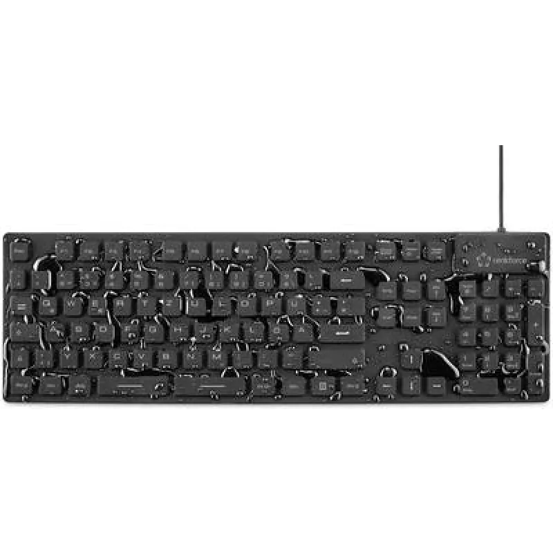 Renkforce RF-3561816 klaviatūra USB + PS/2 QWERTZ vokiška juoda (RF-3561816)