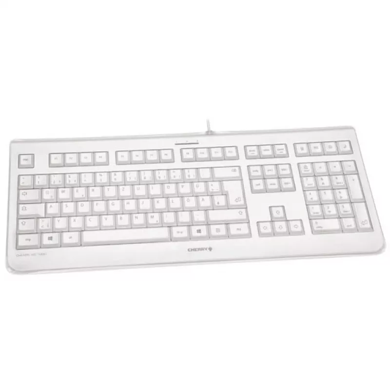 CHERRY KC 1068 klaviatūra USB Swiss Pilka