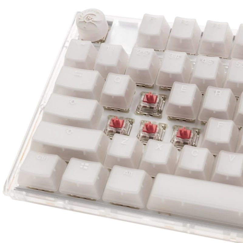 Ducky One 3 TKL klaviatūra Žaidimams USB QWERTY Anglų Balta