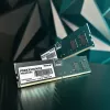PATRIOT Signature 16 GB DDR5 4800 MHz ECC 288 kontaktų UDIMM 1,1 V atmintis staliniams kompiuteriams / serveriams