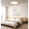 Išmanioji Xiaomi lubinė lempa D30 WiFi 30W