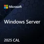 MS Windows Svr CAL 2025 PL 5Clt Device CAL OEM