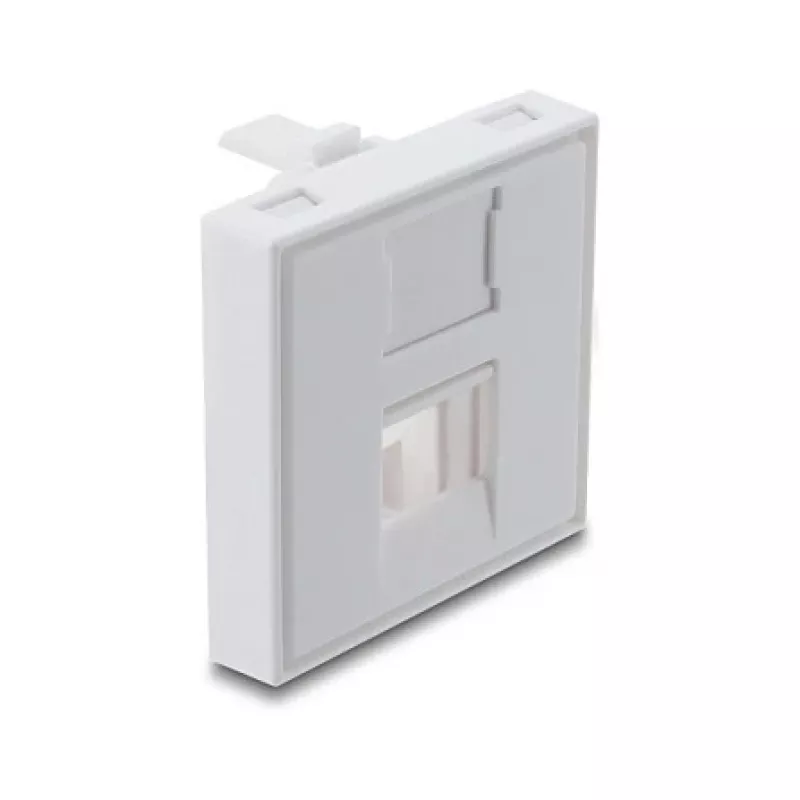 Įsegamas 45×45 mm Keystone modulio dangtelis DELOCK Easy 45 1 prievadui, ABS, baltas, su dulkių dangteliu