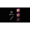 LED neoninė veidrodžio lemputė MANTA MASNL130PK Style Neon Lights BEAUTY, rožinis akcentas, dekoratyvinis veidrodžio apšvietimas