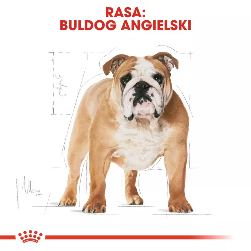 Sausas šunų maistas Royal Canin Bulldog Adult 12 kg — suaugusiems buldogams, vištienos skonio, 24% baltymų, 14% riebalų
