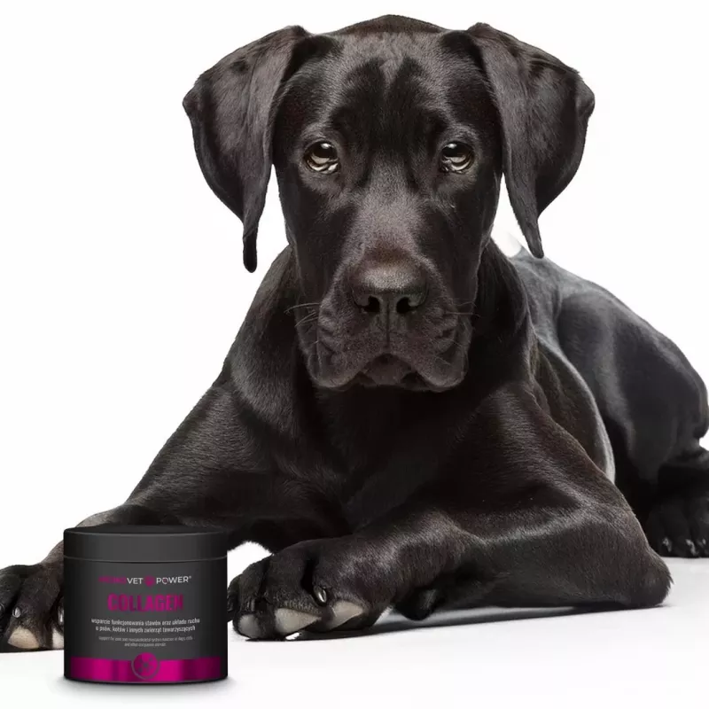 JM SANTE MONOVET POWER COLLAGEN 120g