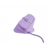 „NATEC Crake 2 Pro“ pelė universali dešiniarankė USB-A optinė 12800 DPI