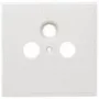Axing SZU 2-01 lizdų uždengimo plokštelė - matmenys 80x80 mm tinka BSD 963-xx (SZU 2-01)