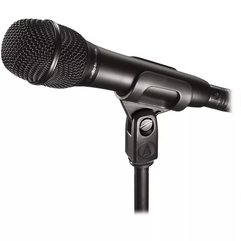 Audio-Technica mikrofonas AT2010 - mikrofonas