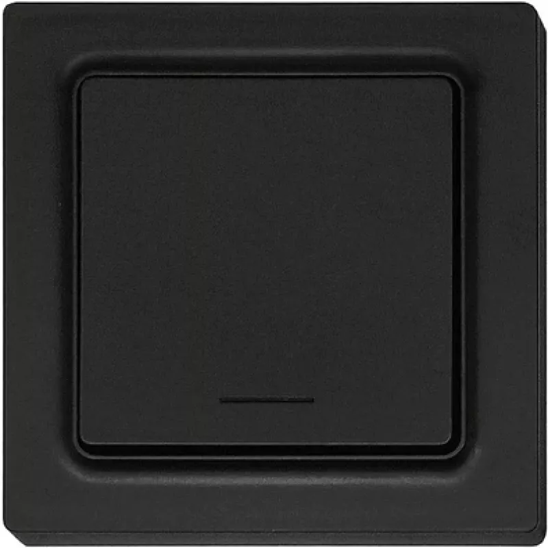 Eltako Funk-1-Channel-push button Antracitinis matinis F1T55E-am (30055722)