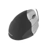 Evoluent Verticalpelė 3 pelė USB Type-A