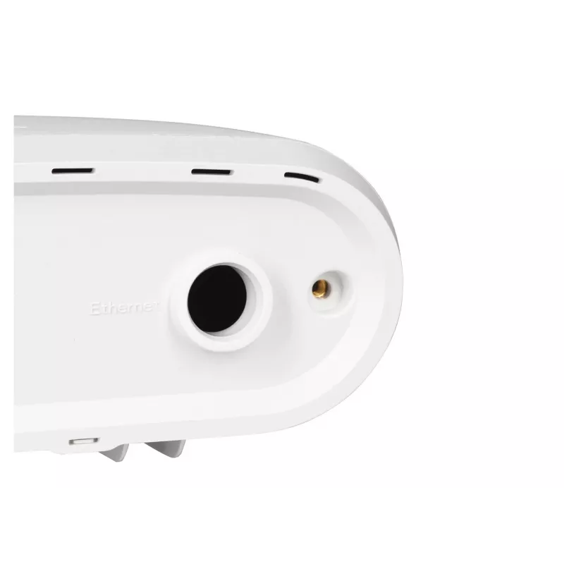 Zyxel ACCESSORY-ZZ0102F belaidžio prieigos taško priedas WLAN prieigos taško apsauginis gaubtelis